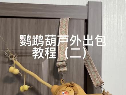葫芦改造鹦鹉外出包教程(二 )终于来喽!#鹦鹉鹦鹉萌萌哒逗鹦鹉 #鹦鹉 #鹦鹉葫芦外出包 #鹦鹉外出笼 #葫芦