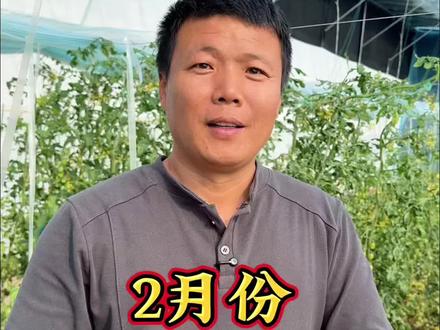 2月份能种哪些蔬菜?立春节气以后能种什么菜?#种植小技巧 #关注我一起学种菜 #种菜时间#寿光张大帅