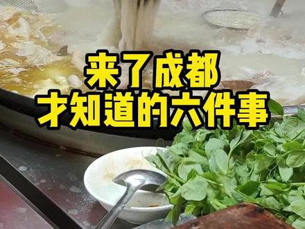 1、保宁醋;2、辣和不辣;3、兔子;4、伊藤洋华堂;5、烫火锅都涮啥;6、好吃的馆子如何找……
还有啥我没写全的,欢迎补充!
#成都 #成都攻略 #成都美食 #苍蝇馆子 #搞笑 #搞笑的日常 #日常 # #经验 #经验分享 #记录真实生活 #地方特色美食 #生活的烟火气息