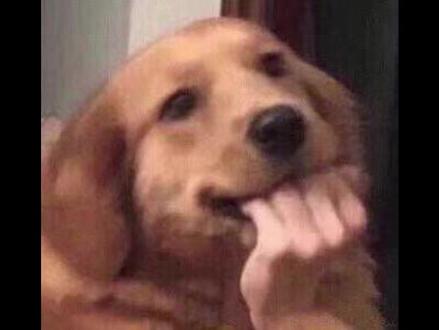 【醉后慌张】 #ooc致歉 #同人 #实义cp