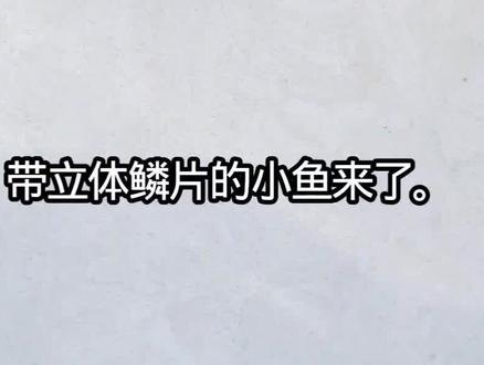 #拼豆图纸 #我染上了拼豆#拼豆鱼鳞烫 #拼豆小鱼 #年年有余