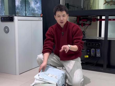 蝴蝶鲤鱼入缸 兄弟们你们说赫希75方缸干个蝴蝶鲤,干年底蝴蝶鲤买回来了,哈哈哈大家看看品相怎么样,2026大家一起学习,看看一年能长成啥样子。#水族 #养鱼 #蝴蝶鲤 #红色蝴蝶鲤 #蝴蝶鲤怎么养