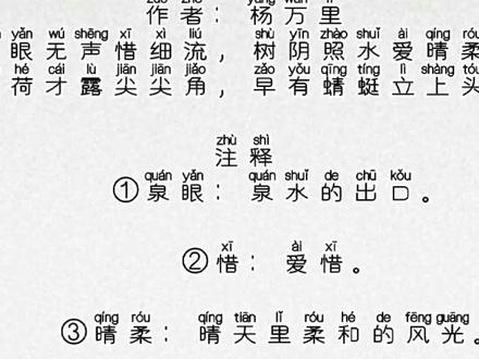 《小池》杨万里,译文、注释版#每天一首古诗词 #每天跟我涨知识 #古诗打卡 #每天学习一点点 #每天进步一点 #日积月累 #爱上古诗词
