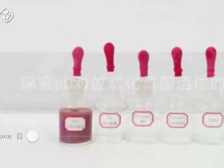 探究实验3 探究pH对过氧化氢酶活性的影响