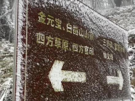 今天的南宁白凿山雪景太美了吧#白凿山 #白凿山雾凇 #雾凇美景 #南宁雾凇 #旅游推荐官