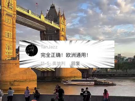 意大利狗的地位比人高多了#狗狗#意大利#内容过于真实#国外