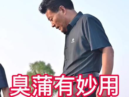 臭蒲草主要生长在水边或沼泽地带,农村地头很常见,不管是根还是叶子都有各自的用处,可以用来煮水泡脚,洗脸,喝等,朋友们你们那里都是用它来干什么,我们一起分享下吧!#经验分享 #新农人计划 #农村生活 #每天持续分享正能量 #三农 #感谢支持感谢关注