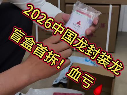 2026版中国龙封装龙!盲盒首拆,血亏🩸#中国龙#封装龙#中国龙银币