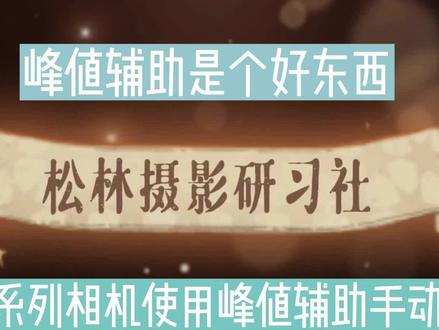 佳能R系列相机如何使用峰值辅助手动对焦?从此手动对焦效率更高 #佳能 #佳能R6 #峰值对焦 #手动对焦