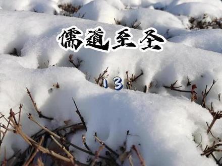 #小说推荐 #小说
儒道至圣13