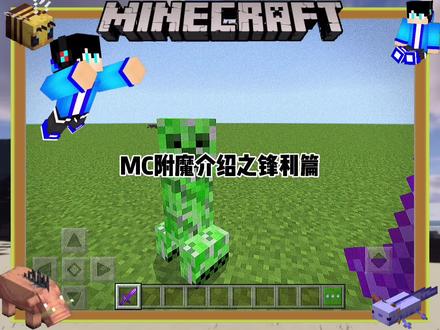 把你最想看的魔咒或药水效果打在评论区,我会选择点赞最高的作为下期的内容#我的世界#mc#mc不灭