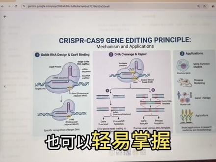 【Gemini会员升级平台:ai66.org】一定要用Gemini3.1pro进行科研作图!科研封面图科研流程图一键生成,媲美专业人士!
Gemini科研绘图 Gemini科研 gemini3pro
Gemini怎么读 Gemini充值
Gemini科研绘图指令 Gemini科研绘图教程 Gemini科研绘图提示词 Gemini科研使用教程
#研究生#科研 #ai #论文 #科研绘图