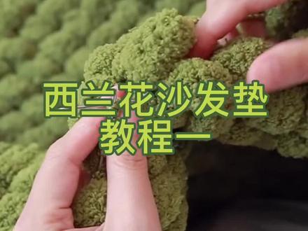 最近爆火的西兰花垫子教程来啦!品味不错嘛,这都被你刷到了,快艾特你家憨憨来康康吧!#手工 #毛线编织 #沙发垫
