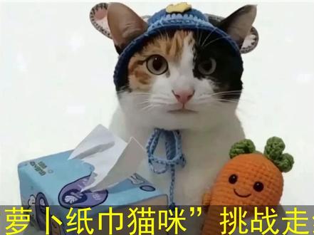 萝卜纸巾猫为啥火了 萝卜纸巾猫为啥火了