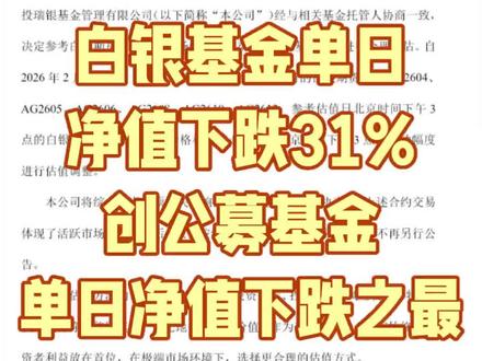 白银基金单日净值下跌31%#股市#白银#黄金#贵金属