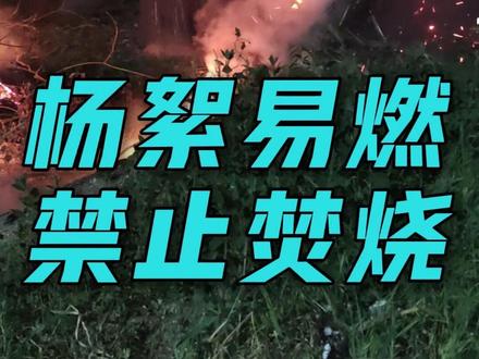 家门口杨絮被随意点燃,火势迅速蔓延失控。(编辑:茉莉龙井)
