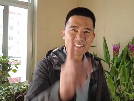 种几棵金玉兰菜,一个月左右就能采收,口感好,营养高#金玉兰菜 #金玉兰菜根 #种植金玉兰菜 #花痴园艺