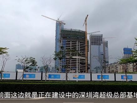 实地探访深圳湾超级总部基地,多幢全球总部大厦正在兴建。