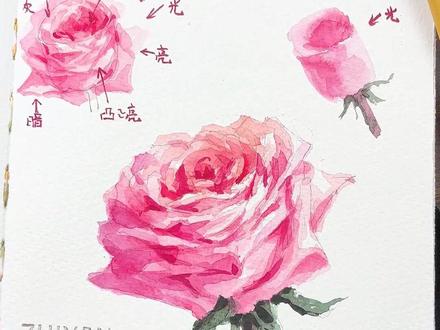 水彩教程·抓住两个“形”🌹就能画好玫瑰
#绘画教程 #水彩玫瑰 #手绘教程 #水彩 #画画教程