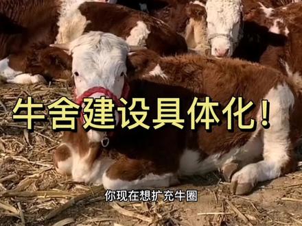小王和您一起分享牛舍建设的细节方面!纯干货,有需要的记得收藏
