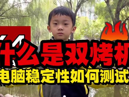 电脑稳定性如何测试?什么是双烤机 #电脑知识 #diy电脑