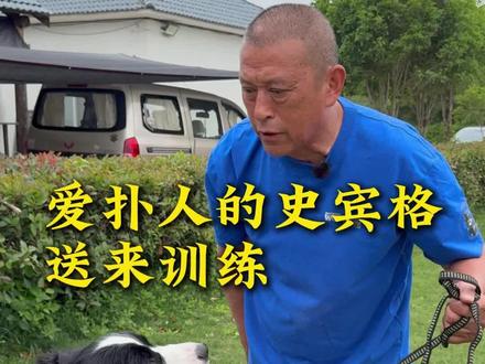 欢迎大家来久诚训犬!#训犬#训犬师#刘洪进训犬