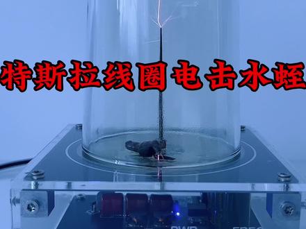 用特斯拉线圈电击水蛭,画面太过精彩!#水蛭 #蚂蟥 #特斯拉线圈 #闪电 #解压