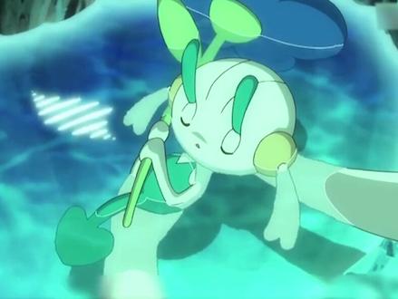 各个属性最强宝可梦的绝招(下)#神奇宝贝 #精灵宝可梦