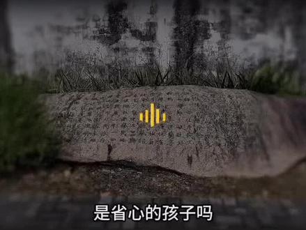 #张雪峰老师 #张雪峰升学视频,张雪峰升学教育视频整理