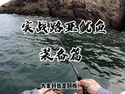 舟山浪岗鱿鱼实战教学(装备片)#舟山海钓 #舟山星屿路亚 #路亚