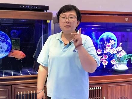 家里边鱼缸噪音大,怎么办?一个视频说清楚#养鱼日记 #水族 #养鱼养心 #水族爱好者 #观赏鱼