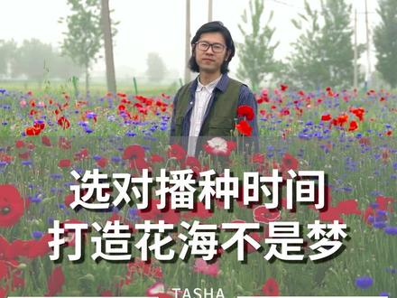 选对播种时间,打造花海不是梦~ @抖音小助手 #花卉绿植 #花海 #生活成长计划