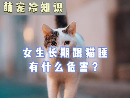 女性长期与猫同睡的危害!#萌宠vlog #猫知识 #萌宠出道计划 #养猫新手 #萌宠 #宠物知识