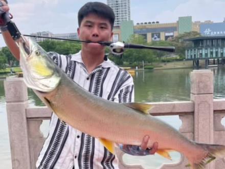 在摄影师的指导下用
竿:#荣二167Lbfs
轮:#阿德MGL31hg
线:1.2YGK+3.0西格之星
铒:#大河奔流A8S2
猎获米鳡一尾#路亚野钓 #路亚鳡鱼