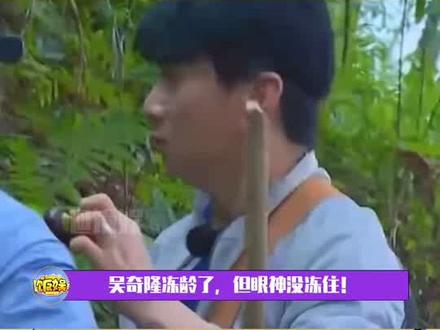 #吴奇隆:我还没瞎!!!#王耀庆:我也还没聋!!!#任敏