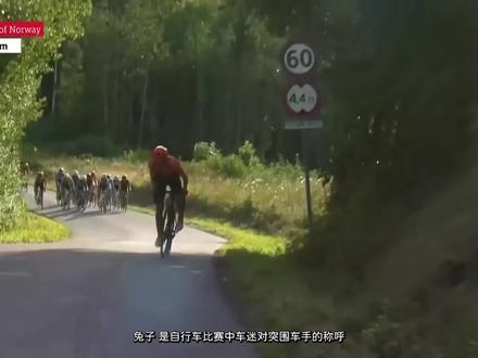 专业自行车团队如何知道何时追逐兔子? #公路车运动 #自行车比赛 #自行车赛 #公路车 #公路自行车