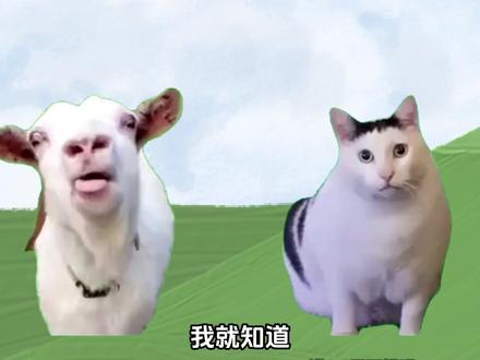 基础款不搭基础款 ##悟空浏览器