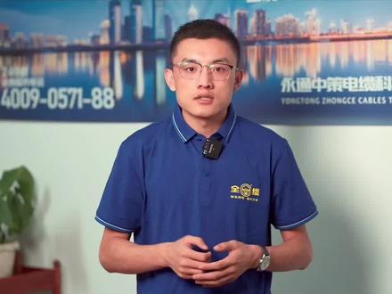 电缆ZC-YJV与WDZ-YJY的特点#电线电缆 #科普 #安全用电