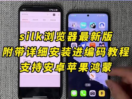 《月白精选》Silk浏览器,保姆级安装教学,没下载的快冲,免费分享#Silk浏览器 #Silk #silk浏览器下载 #浏览器 #浏览器推荐