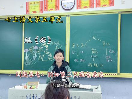 《猫》:郑振铎先生真的是爱猫人士吗?
【设计思路】
创设情境,布置任务
爱猫协会收到一封匿名信,信中指出作家郑振铎先生自谓“爱猫家庭”,家中几次养猫,结局却总是失踪或死亡,甚至曾冤枉过、打过他养的第三只猫,这真的是爱猫人士的行为吗?井恳请爱猫协会彻查此事。作为爱猫协会的一员,你決定通过郑振铎先生写的 《猫》一文,从中寻找蛛丝马迹。
你需要完成以下三个任务:
任务一:创建三只猫的档案(通过默读、圈点勾画的方法,概括或比较三只猫的不同特点和结局)
任务二:探索第三只猫命运(聚焦第三只猫的命运,体会“我”对第三只猫前后不同的感情)
任务三:从猫眼看人与社会(探讨人性的复杂,树立勇于反思、关爱弱小,善待生命的意识。#追光的日子演一种新的师生关系 #我的乡村教育生活 #每一个瞬间都值得被记录 #我的憨憨学生