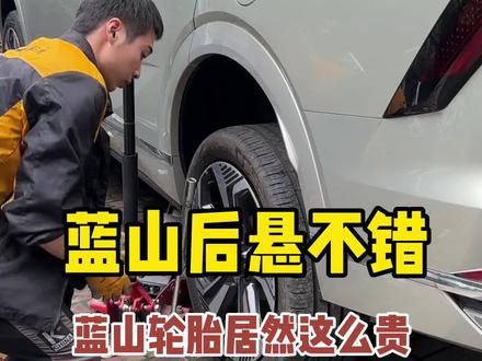 魏牌蓝山轮胎不便宜,顺便看看后悬#魏牌蓝山 #新能源领航计划 #新能源汽车