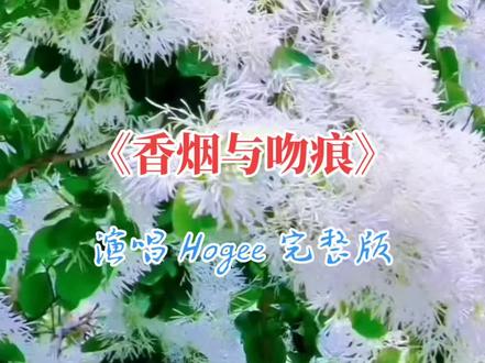 #dou上热门 Hogee《香烟与吻痕》demo完整版~香烟燃尽了,吻痕还在!这首歌是Hogee的原创作品,因其独特的"伍佰式"沧桑氛围感和直白扎心的歌词而受到关注 #香烟与吻痕 #Hogee香烟与吻痕 #热门音乐🔥 #音乐分享
