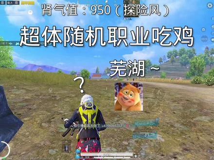 还得是随机职业好吧!#和平精英蚊子 #和平精英