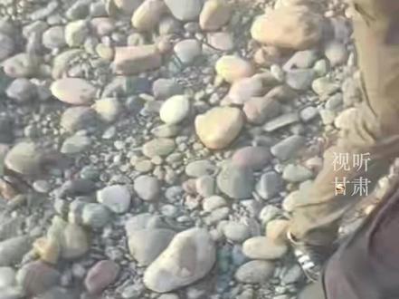 男子落入黄河 搜救员轮番施救后恢复呼吸
11月29号下午4点多,在兰州市小西湖黄河大桥北侧位置,一名男子纵身跳入黄河中,接到110协助救援的指令之后,下游黄河母亲码头的三名搜救员第一时间驾驶快艇前往事发水域搜救。
由于码头所在位置距离事发现场很近, 凭借经验,搜救员到场发现落水者用了仅仅几分钟时间。搜救员将男子带到岸边做心肺复苏,同时把落水者翻身后控水,经过及时有效地施救,落水者终于恢复了自主呼吸,成功获救。