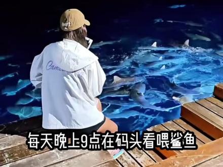 浮潜党本命海岛!莉莉岛这趟真的值回票价 终于打卡马尔代夫莉莉岛!分享一波无滤镜真实体验,不吹不黑~
真心是浮潜爱好者的天堂🌊
睁眼就是玻璃海,出门就能浮潜,还偶遇了可爱小鲨鱼,海景和浮潜环境真的绝!
全程一价全包太省心!
4个餐厅+4个酒吧随便打卡,餐食选择超多,不限量吃喝,每顿都不重样。免费出海项目、水上活动、运动设施全都有,度假体验拉满。
住宿体验超治愈✨
水屋自带玻璃地板+私人泳池,推门直接入海,氛围感直接封神!沙屋出门就是沙滩,躺平度假超舒服。
岛上有贴心中文管家,沟通完全无障碍,房间迷你吧每日补给,每晚还有超震撼的喂鲨鱼活动,蜜月也有专属仪式感。
小小小不足:全岛WiFi可用但速度一般,沙屋海边难免有小飞虫,完全不影响度假心情!
#马尔代夫 #莉莉岛 #马尔代夫度假 #海岛度假 #马代旅行