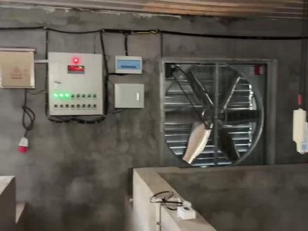 #三农流量扶持计划 #所有养猪人 猪场温控系统调试#新农人计划2023 #畜牧风机