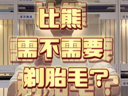 比熊需不需要剃胎毛?#比熊 #宠物知识 #科学养宠攻略 #狗狗 #宠物