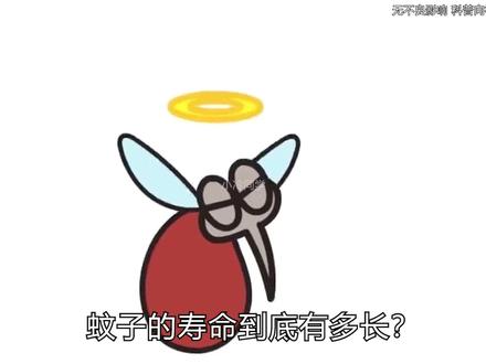 放假倒计时-1天 #有趣的知识又增长了