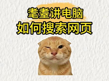 不会查找官网?一分钟教会你如何快速找到官网,再也不被骗 #猫meme #电脑小知识 #新手小白必看 #耄耋
