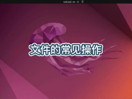 文件的常见操作#Ubuntu#LINUX#电脑技巧 #电脑 #电脑知识#操作系统 #小技巧